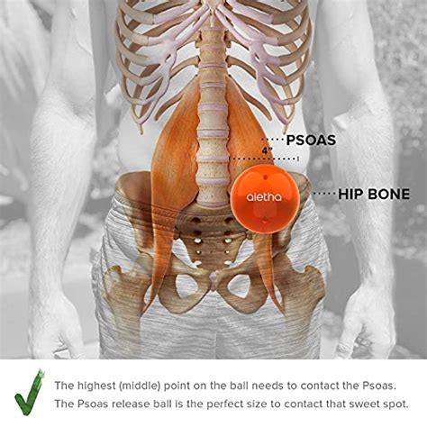 aletha health hip hook|The Orbit: A Hip Release Ball by Aletha Health